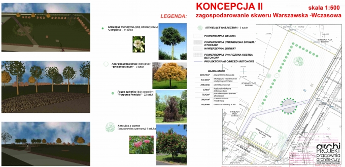 koncepcja-iia