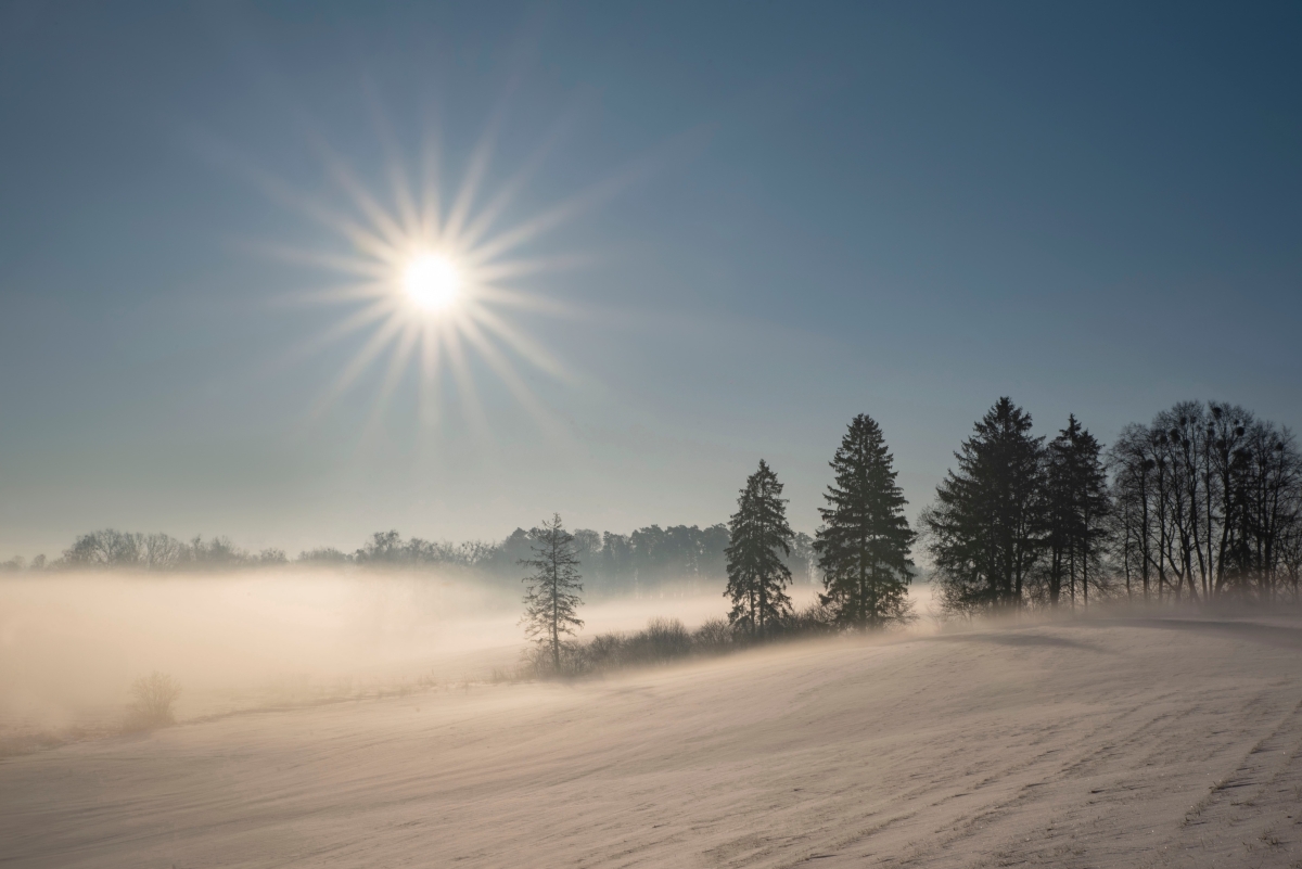 mazury1