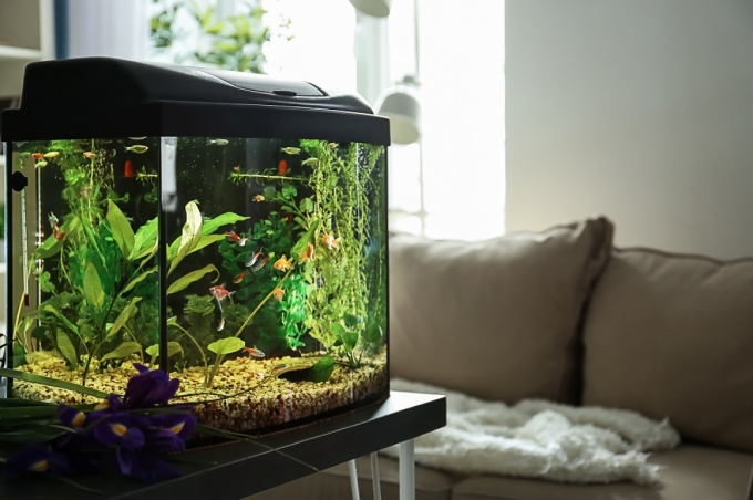 quarium-lighting-01
