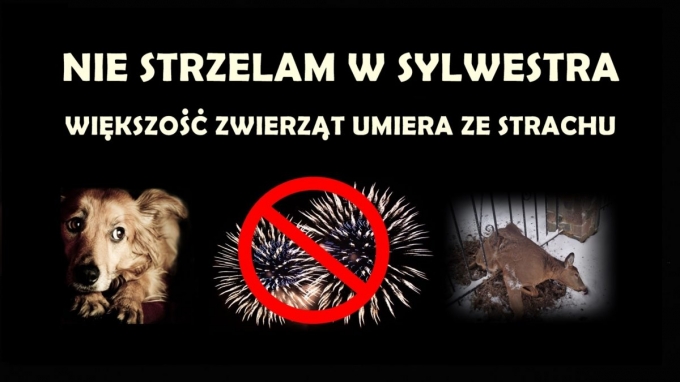 20191231_nie-strzelam-1-1200x675