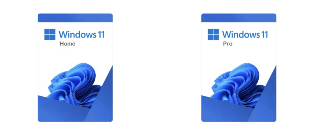 windows 11 wersje