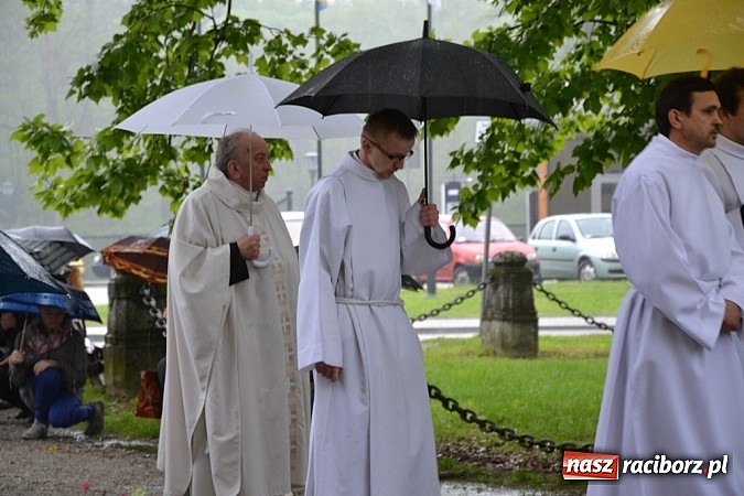 Zdjęcie w galerii na portalu naszraciborz.pl: Wielkie łaski wymagają wielkiej ofiary wiadomości z regionu