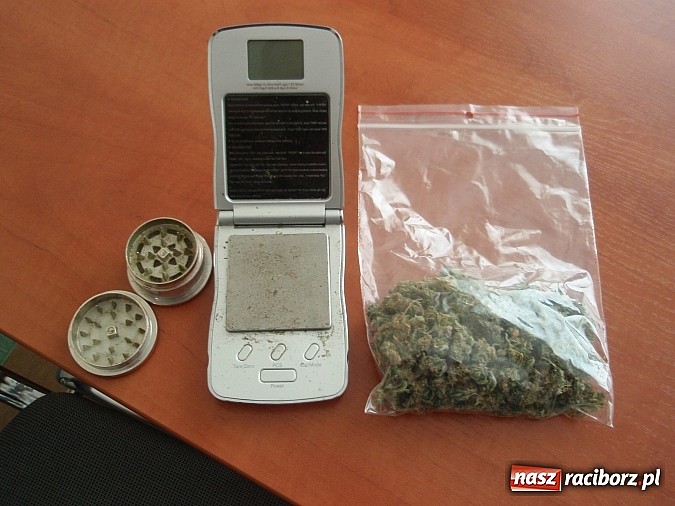 Zdjęcie w galerii na portalu naszraciborz.pl: W hotelu trzymali podróbki i narkotyki wiadomości z regionu