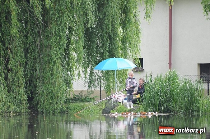 Zdjęcie w galerii na portalu naszraciborz.pl: Wędkarski Dzień Dziecka na Trzecioku wiadomości z regionu