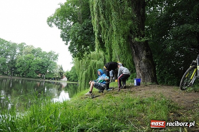 Zdjęcie w galerii na portalu naszraciborz.pl: Wędkarski Dzień Dziecka na Trzecioku wiadomości z regionu