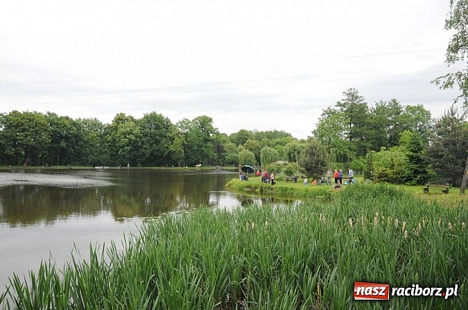 Zdjęcie w galerii na portalu naszraciborz.pl: Wędkarski Dzień Dziecka na Trzecioku wiadomości z regionu