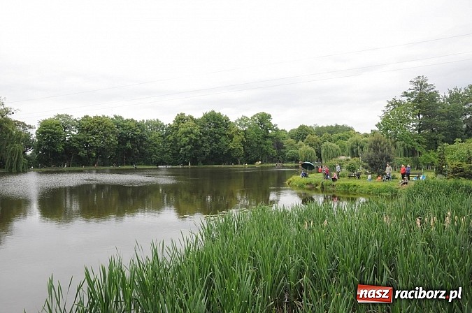 Zdjęcie w galerii na portalu naszraciborz.pl: Wędkarski Dzień Dziecka na Trzecioku wiadomości z regionu