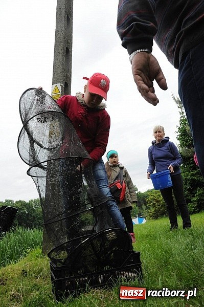 Zdjęcie w galerii na portalu naszraciborz.pl: Wędkarski Dzień Dziecka na Trzecioku wiadomości z regionu