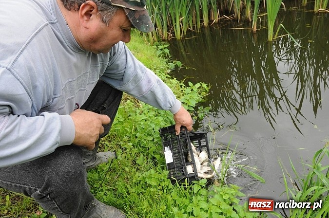 Zdjęcie w galerii na portalu naszraciborz.pl: Wędkarski Dzień Dziecka na Trzecioku wiadomości z regionu