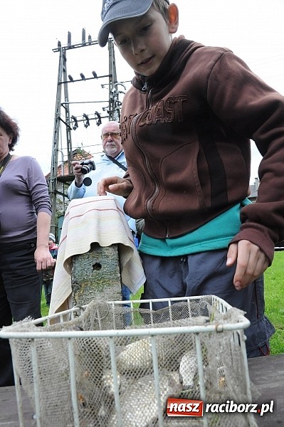 Zdjęcie w galerii na portalu naszraciborz.pl: Wędkarski Dzień Dziecka na Trzecioku wiadomości z regionu