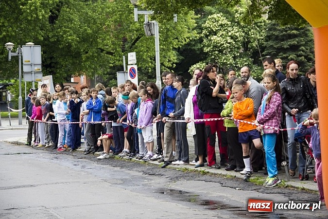 Zdjęcie w galerii na portalu naszraciborz.pl: VII Raciborski Bieg Profilaktyczny już za nami wiadomości z regionu