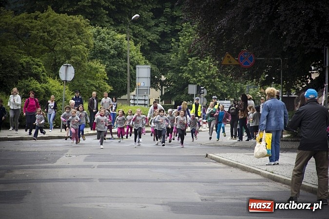 Zdjęcie w galerii na portalu naszraciborz.pl: VII Raciborski Bieg Profilaktyczny już za nami wiadomości z regionu
