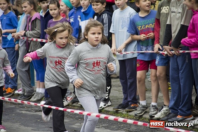 Zdjęcie w galerii na portalu naszraciborz.pl: VII Raciborski Bieg Profilaktyczny już za nami wiadomości z regionu