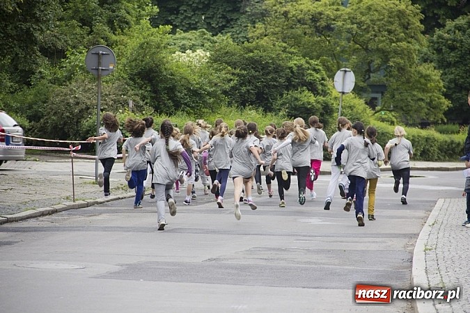 Zdjęcie w galerii na portalu naszraciborz.pl: VII Raciborski Bieg Profilaktyczny już za nami wiadomości z regionu