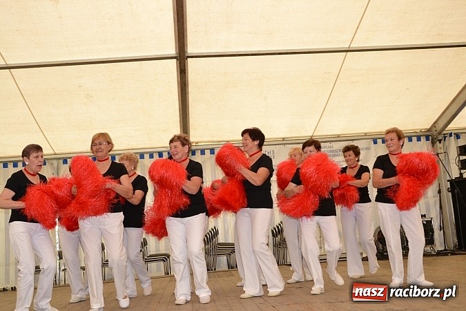 Zdjęcie w galerii na portalu naszraciborz.pl: Transgraniczny festiwal kultury w Tworkowie wiadomości z regionu