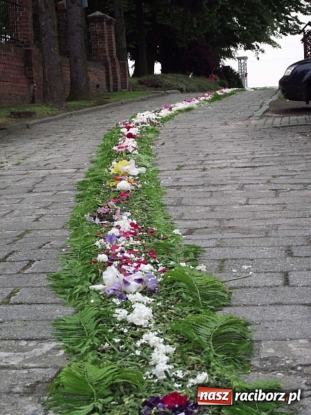 Zdjęcie w galerii na portalu naszraciborz.pl: Boże Ciało – ostoja tradycji w nowoczesnych czasach wiadomości z regionu