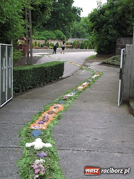 Zdjęcie w galerii na portalu naszraciborz.pl: Boże Ciało – ostoja tradycji w nowoczesnych czasach wiadomości z regionu