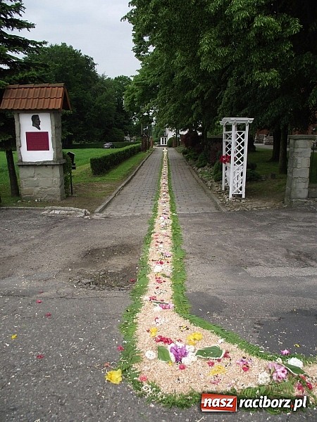 Zdjęcie w galerii na portalu naszraciborz.pl: Boże Ciało – ostoja tradycji w nowoczesnych czasach wiadomości z regionu