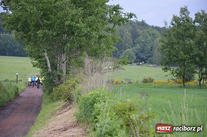 Zdjęcie w galerii na portalu naszraciborz.pl:  Leśny Rodzinny Rajd Rowerowy w Kobyli wiadomości z regionu