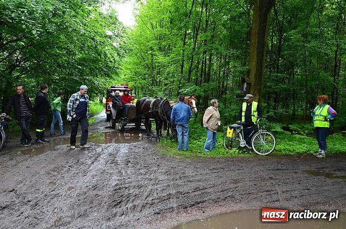 Zdjęcie w galerii na portalu naszraciborz.pl:  Leśny Rodzinny Rajd Rowerowy w Kobyli wiadomości z regionu