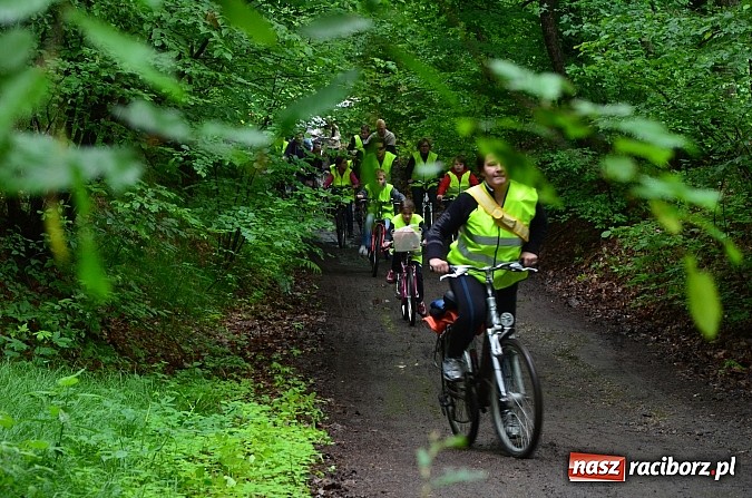 Zdjęcie w galerii na portalu naszraciborz.pl:  Leśny Rodzinny Rajd Rowerowy w Kobyli wiadomości z regionu