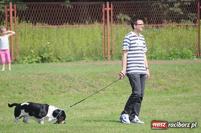 Zdjęcie w galerii na portalu naszraciborz.pl: Na stadionie ruszyła wystawa psów rasowych wiadomości z regionu
