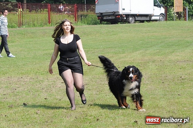 Zdjęcie w galerii na portalu naszraciborz.pl: Na stadionie ruszyła wystawa psów rasowych wiadomości z regionu