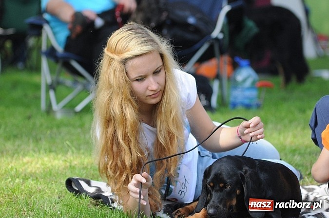Zdjęcie w galerii na portalu naszraciborz.pl: Na stadionie ruszyła wystawa psów rasowych wiadomości z regionu