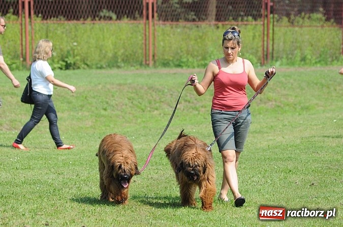 Zdjęcie w galerii na portalu naszraciborz.pl: Na stadionie ruszyła wystawa psów rasowych wiadomości z regionu
