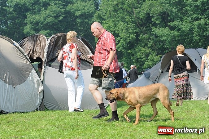Zdjęcie w galerii na portalu naszraciborz.pl: Na stadionie ruszyła wystawa psów rasowych wiadomości z regionu