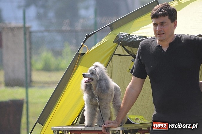 Zdjęcie w galerii na portalu naszraciborz.pl: Na stadionie ruszyła wystawa psów rasowych wiadomości z regionu