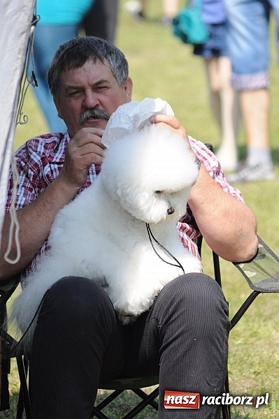 Zdjęcie w galerii na portalu naszraciborz.pl: Na stadionie ruszyła wystawa psów rasowych wiadomości z regionu