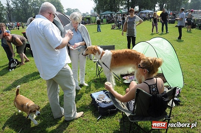 Zdjęcie w galerii na portalu naszraciborz.pl: Na stadionie ruszyła wystawa psów rasowych wiadomości z regionu