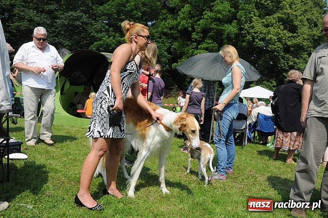 Zdjęcie w galerii na portalu naszraciborz.pl: Na stadionie ruszyła wystawa psów rasowych wiadomości z regionu