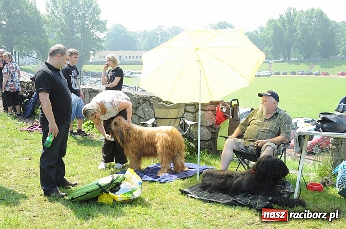 Zdjęcie w galerii na portalu naszraciborz.pl: Na stadionie ruszyła wystawa psów rasowych wiadomości z regionu