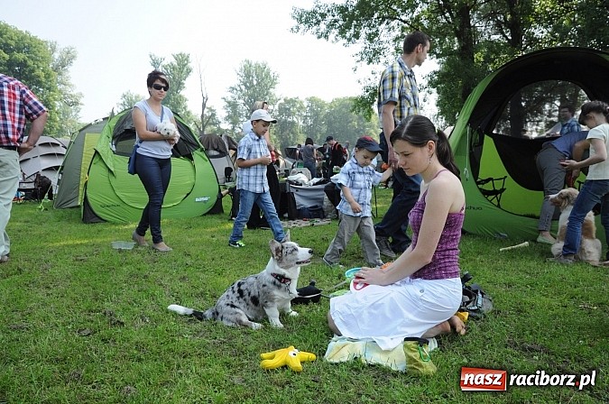 Zdjęcie w galerii na portalu naszraciborz.pl: Na stadionie ruszyła wystawa psów rasowych wiadomości z regionu