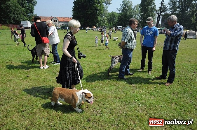 Zdjęcie w galerii na portalu naszraciborz.pl: Na stadionie ruszyła wystawa psów rasowych wiadomości z regionu