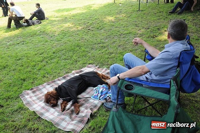 Zdjęcie w galerii na portalu naszraciborz.pl: Na stadionie ruszyła wystawa psów rasowych wiadomości z regionu