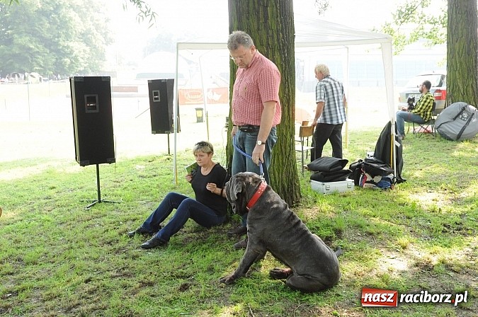 Zdjęcie w galerii na portalu naszraciborz.pl: Na stadionie ruszyła wystawa psów rasowych wiadomości z regionu