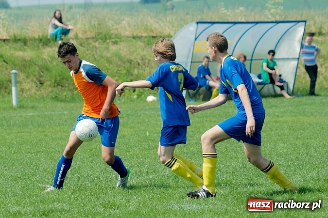 Zdjęcie w galerii na portalu naszraciborz.pl: Festiwal strzelecki w Cyprzanowie wiadomości z regionu