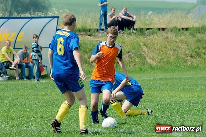 Zdjęcie w galerii na portalu naszraciborz.pl: Festiwal strzelecki w Cyprzanowie wiadomości z regionu