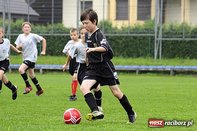 Zdjęcie w galerii na portalu naszraciborz.pl: Deszcz bramek w meczu orlików wiadomości z regionu