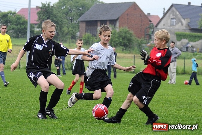 Zdjęcie w galerii na portalu naszraciborz.pl: Deszcz bramek w meczu orlików wiadomości z regionu