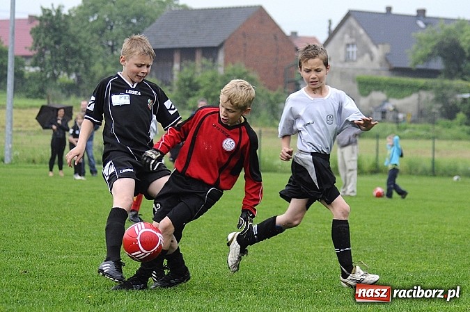 Zdjęcie w galerii na portalu naszraciborz.pl: Deszcz bramek w meczu orlików wiadomości z regionu