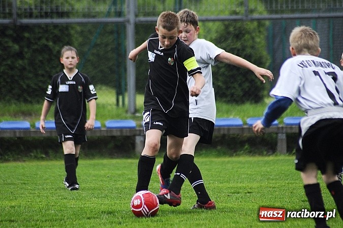 Zdjęcie w galerii na portalu naszraciborz.pl: Deszcz bramek w meczu orlików wiadomości z regionu