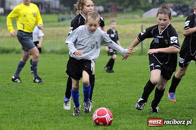 Zdjęcie w galerii na portalu naszraciborz.pl: Deszcz bramek w meczu orlików wiadomości z regionu