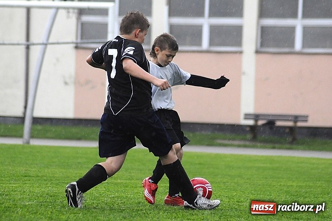 Zdjęcie w galerii na portalu naszraciborz.pl: Deszcz bramek w meczu orlików wiadomości z regionu