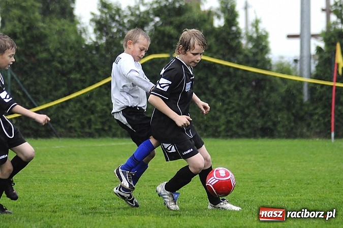 Zdjęcie w galerii na portalu naszraciborz.pl: Deszcz bramek w meczu orlików wiadomości z regionu