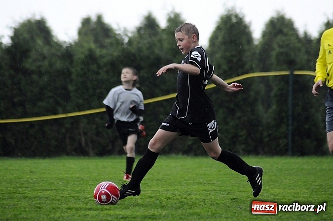 Zdjęcie w galerii na portalu naszraciborz.pl: Deszcz bramek w meczu orlików wiadomości z regionu