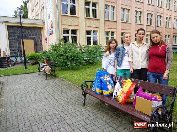 Zdjęcie w galerii na portalu naszraciborz.pl: Wymienili karę na karmę dla zwierząt wiadomości z regionu
